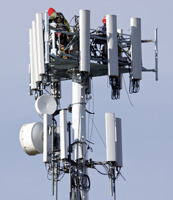 mobile phone radiation